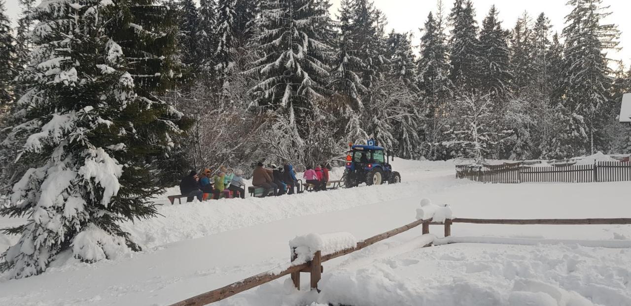U Jedrusia Apartment Zubrzyca Gorna Bagian luar foto