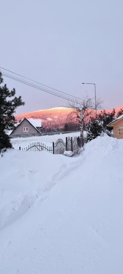 U Jedrusia Apartment Zubrzyca Gorna Bagian luar foto